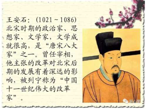 “资宋”与“社金”双生火焰在共同富裕中团聚，新靖康之难中感受黑月之爱，开展心灵合一改革新王安石变法